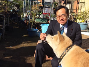 2018.12.28　近所の秋田犬ヒュウマと